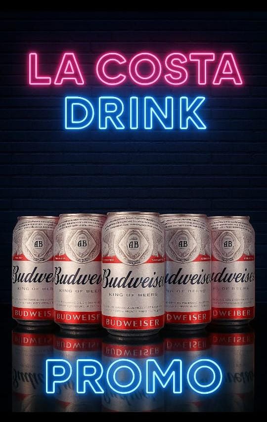Pack 6 Latas Budweiser